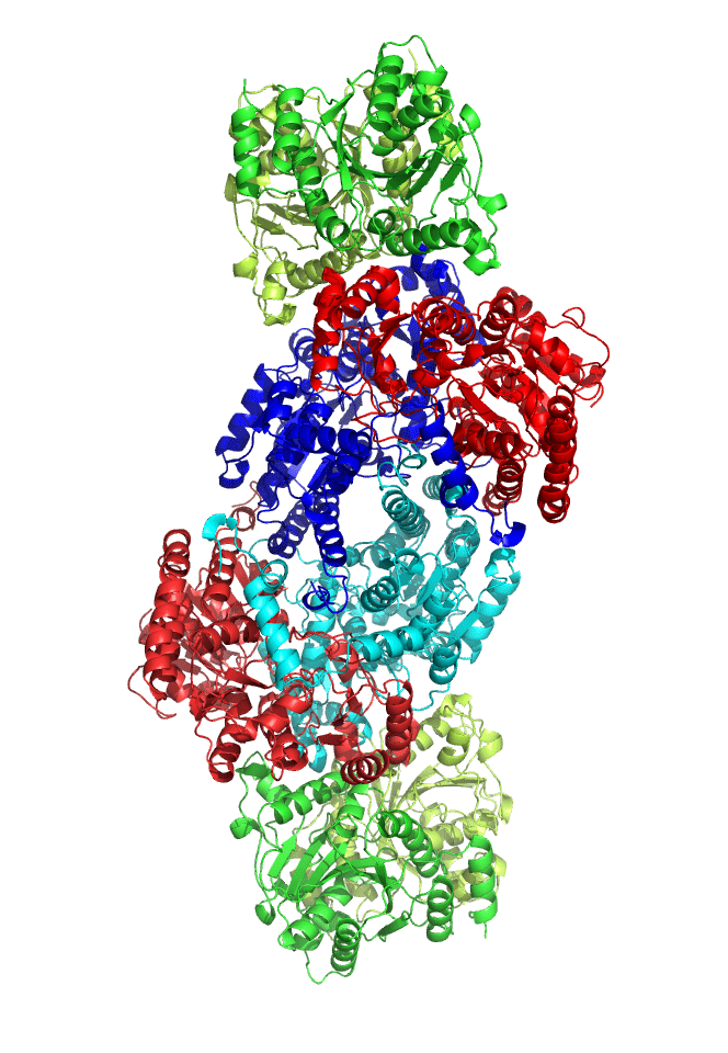 Пространственная структура нитрогеназы — фермента, фиксирующего атмосферный азот