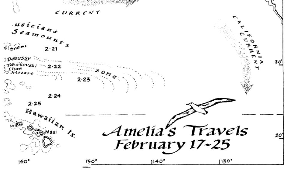 Фрагмент карты странствий Амелии — альбатроса, на которого надели передатчик