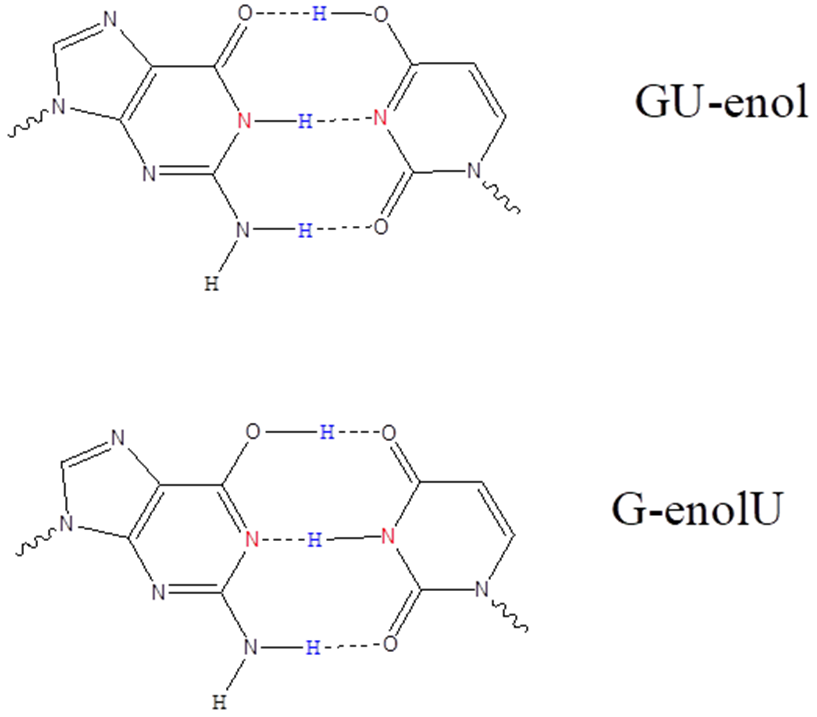 Два варианта пары GU-enol