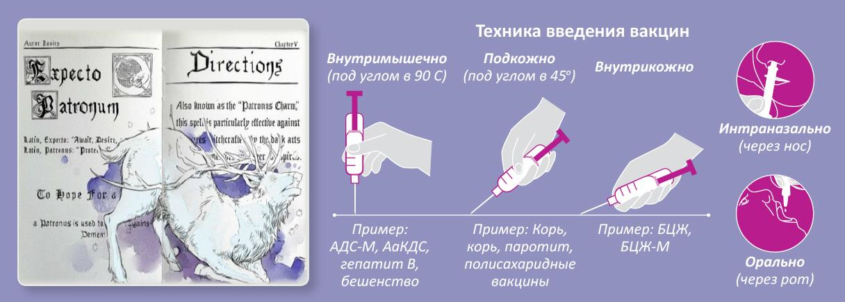 Техника введения разных вакцин