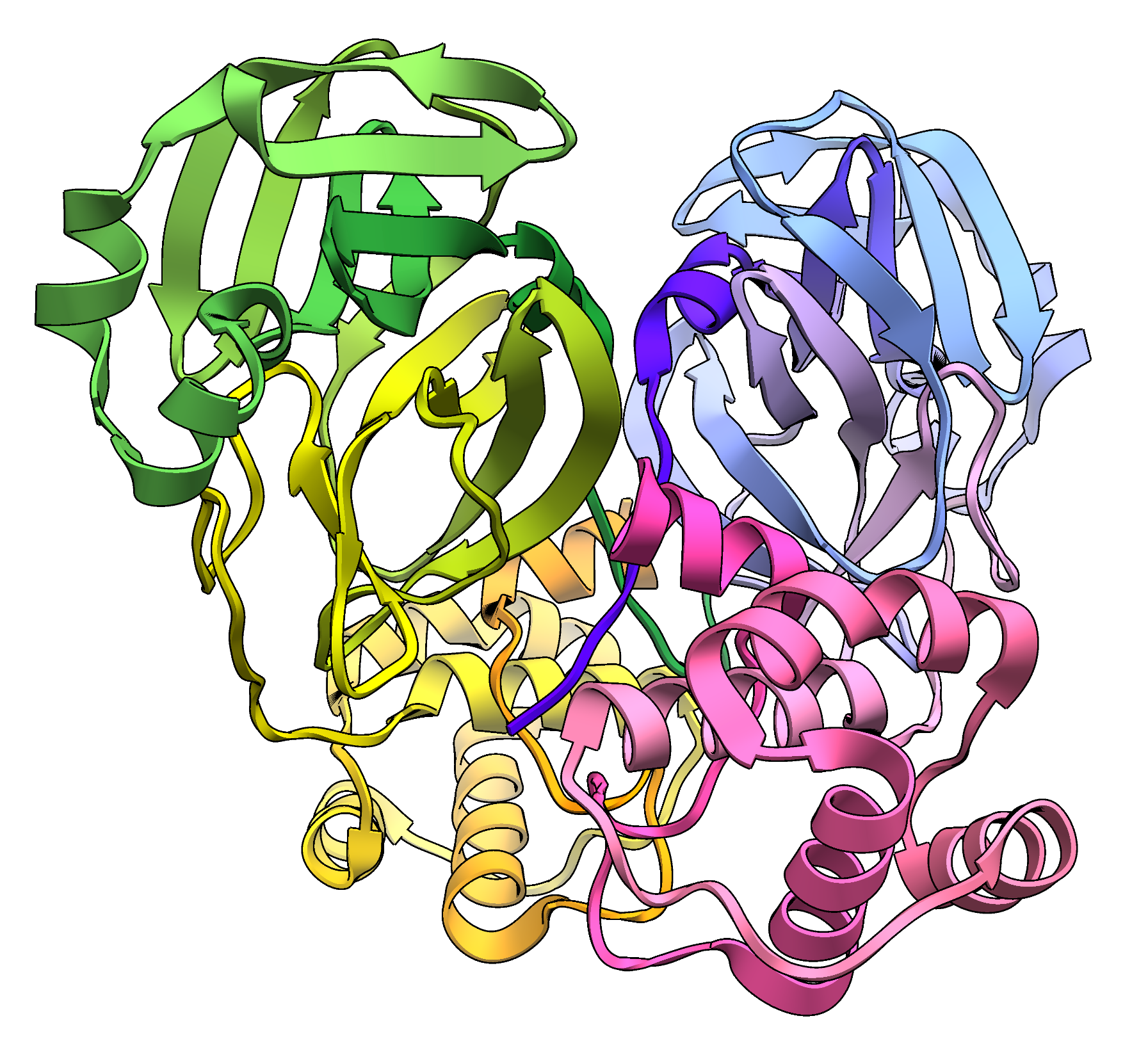 Модель молекулы димера главной протеазы коронавируса SARS-CoV-2 (Mpro)