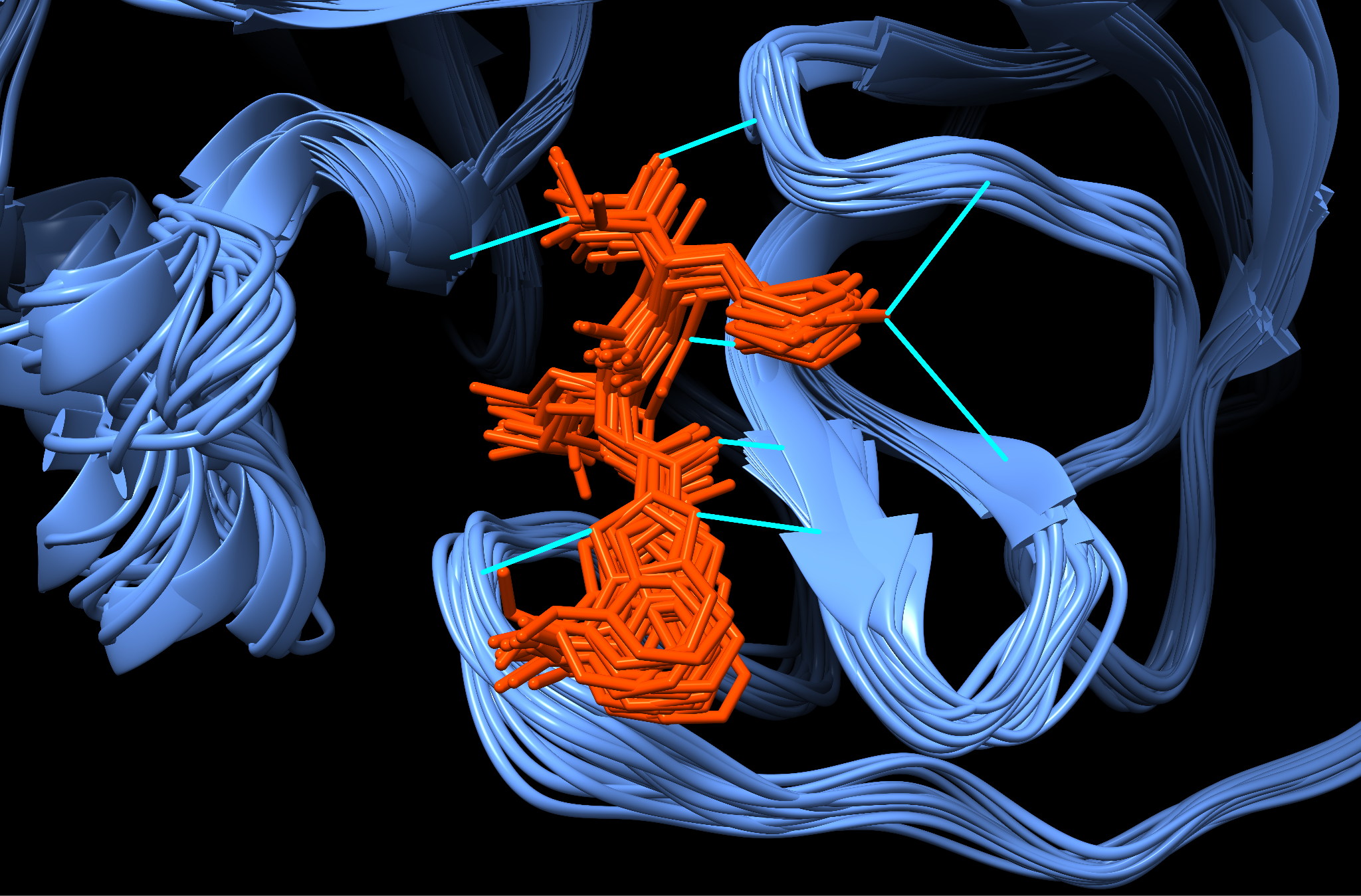 Несколько состояний комплекса потенциального ингибитора с протеазой, полученных методом молекулярной динамики
