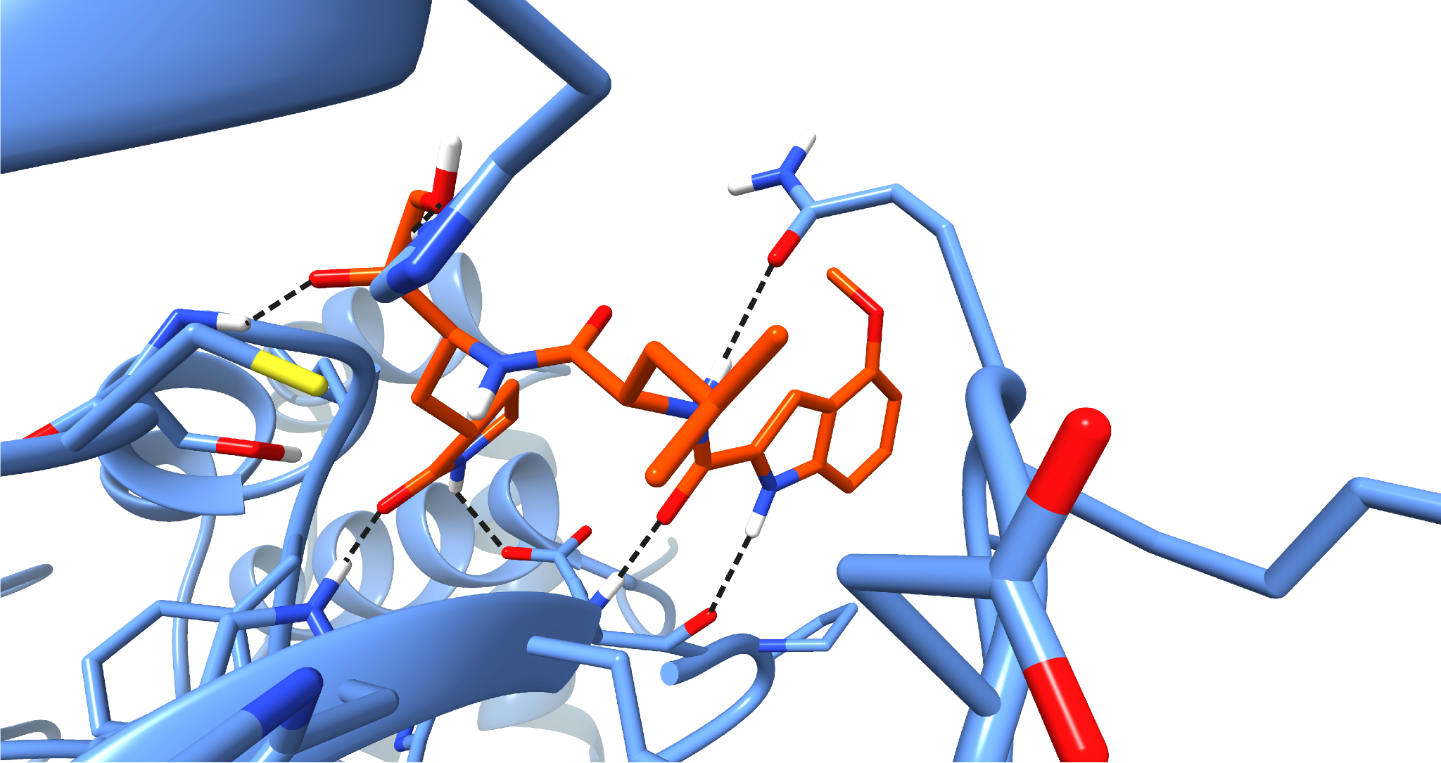 Ингибитор PF-231 внутри активного центра коронавирусной протеазы (Mpro)