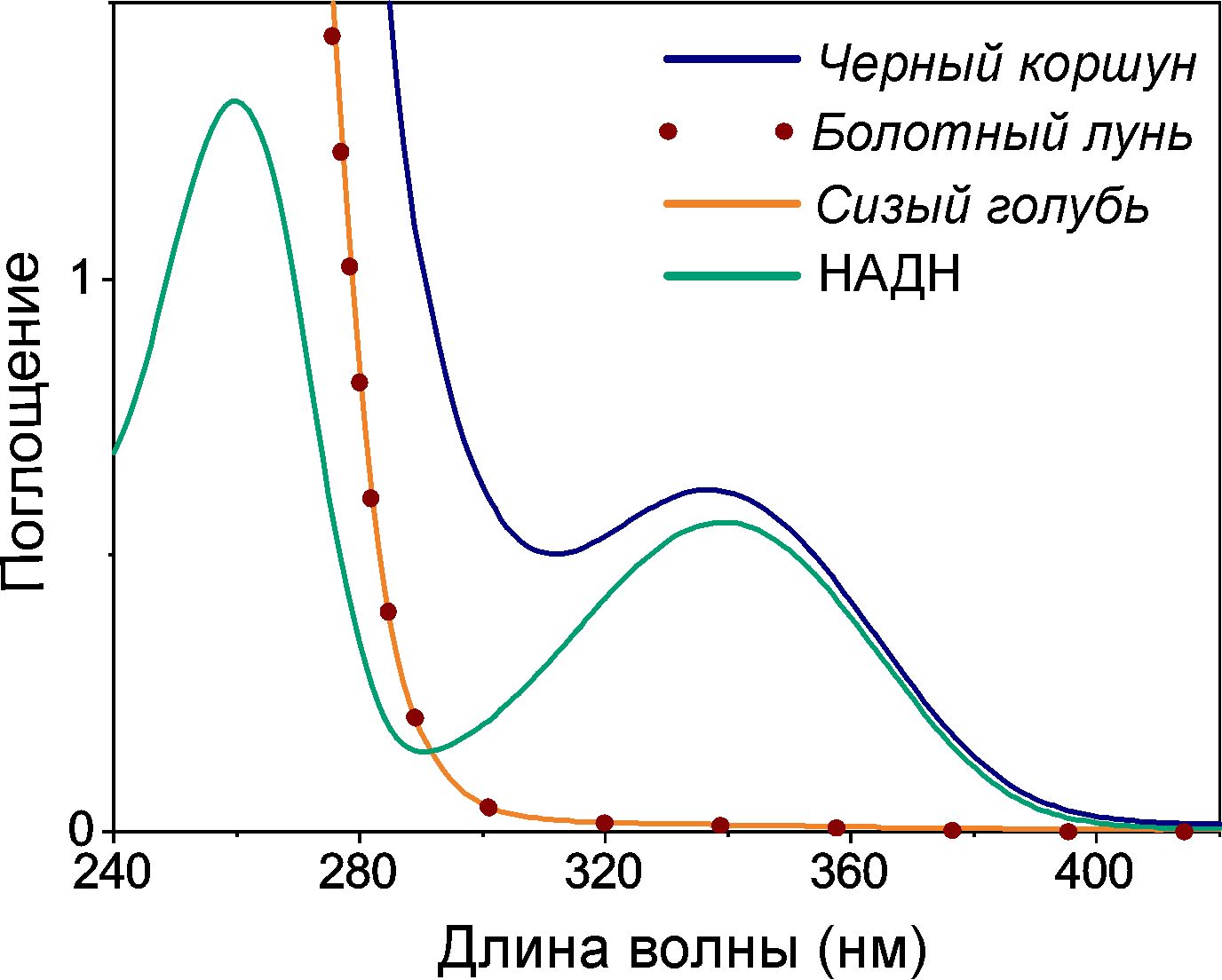 Спектр оптического поглощения водных растворов метаболитов хрусталика черного коршуна имеет максимум поглощения на 340 нм