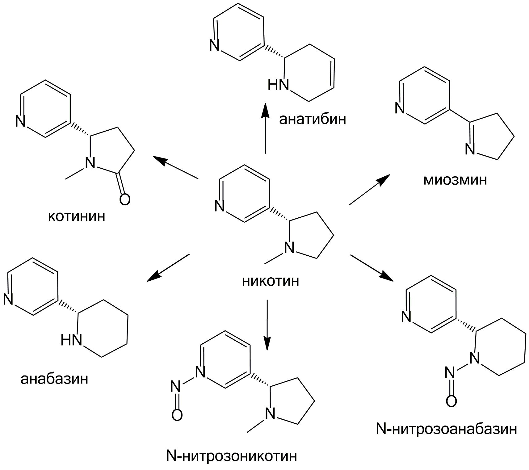 Никотин, его производные и сопутствующие ему вещества, найденные в аэрозоле