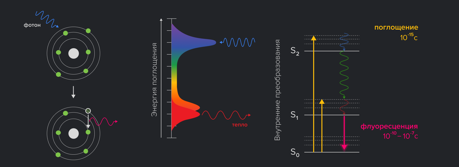 Физические основы флуоресценции и диаграмма Яблонского
