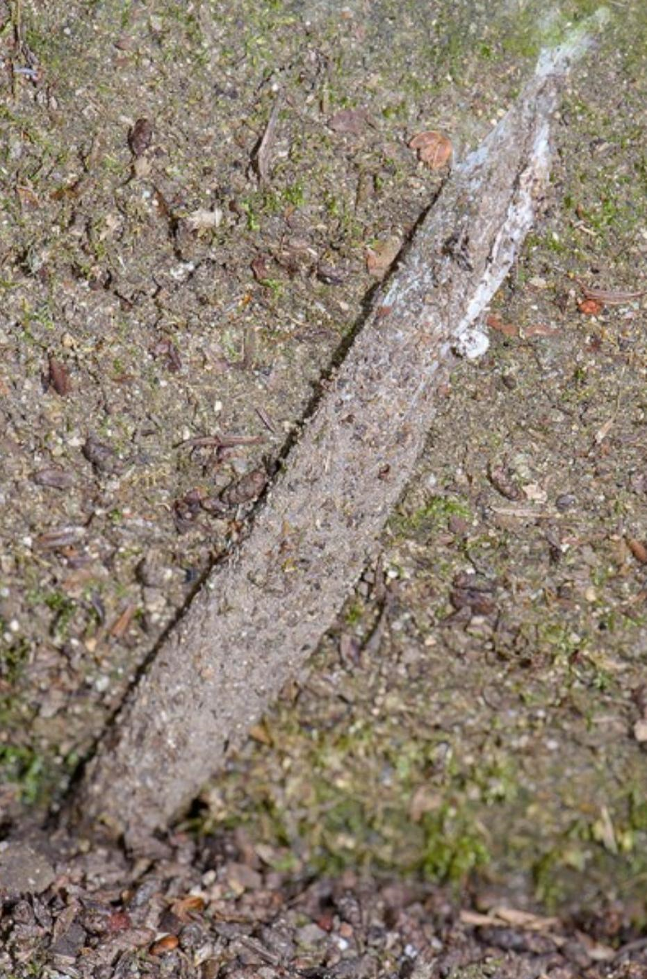 Длинная шелковая трубка кошельковой паутины