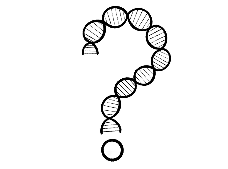 Какой конкретный вопрос задать о генетике шизофрении?