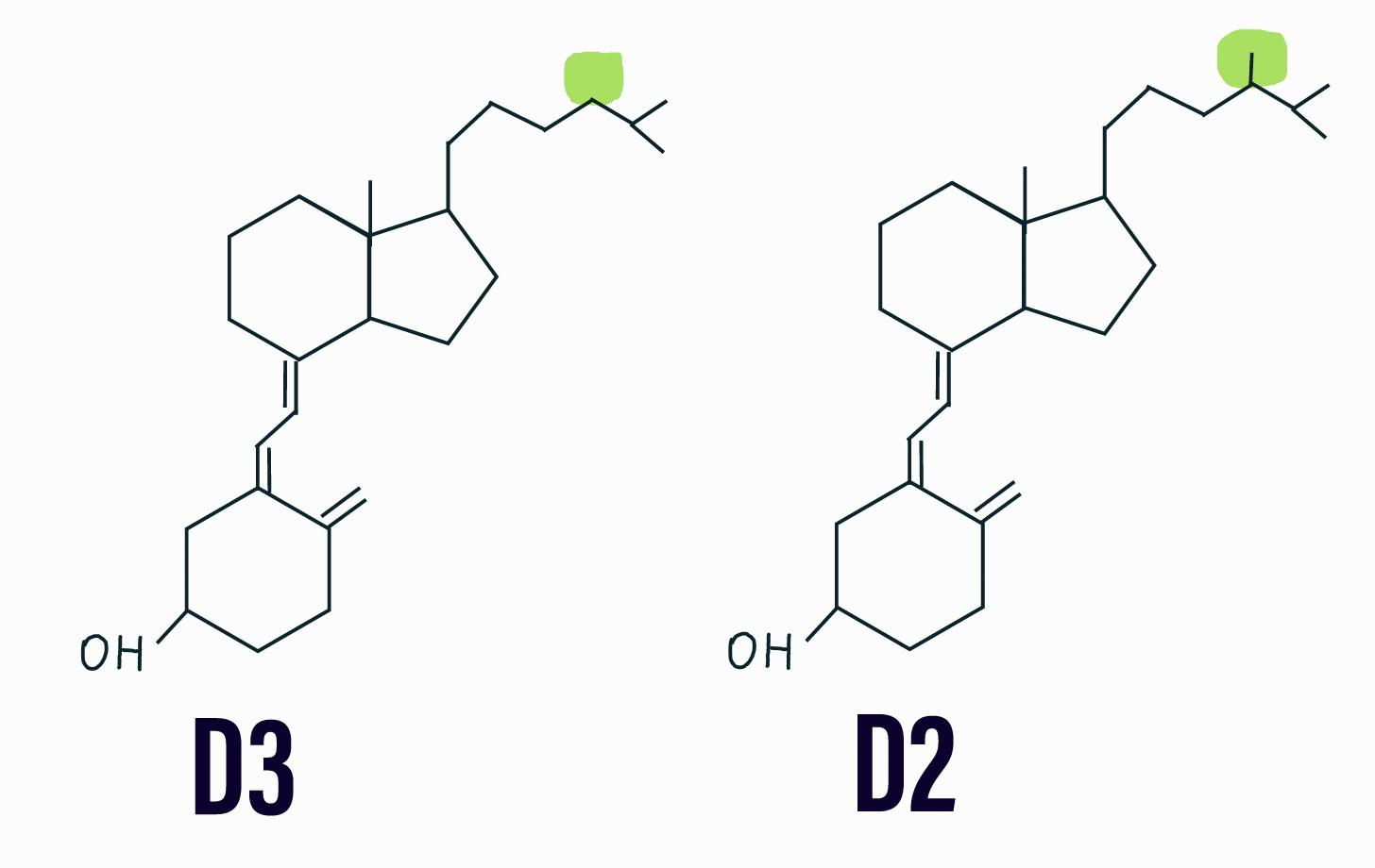 Различия в строении витаминов D2 и D3