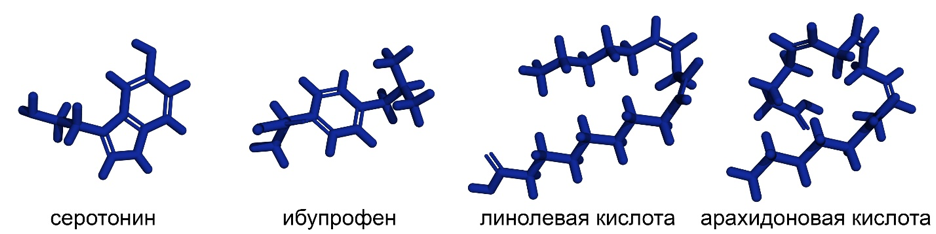 Трехмерные структуры природных лигандов ЧСА