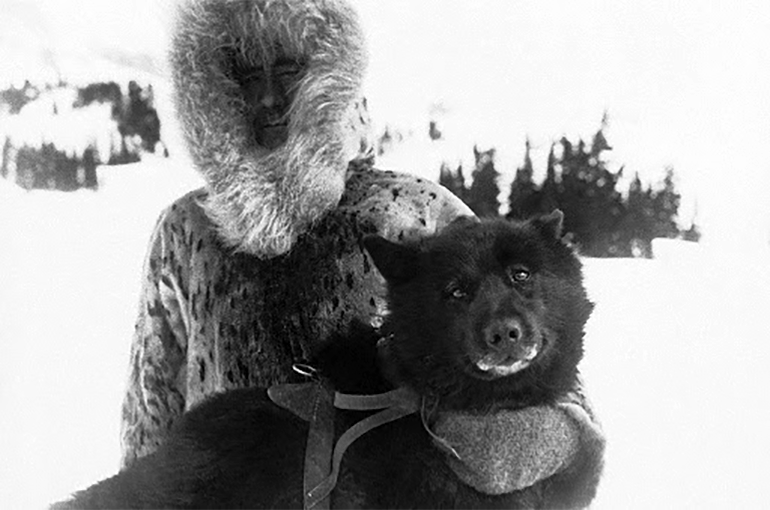 Ездовая собака Балто (Balto) и его хозяин погонщик Гуннар Кассен (Gunnar Kaasen)