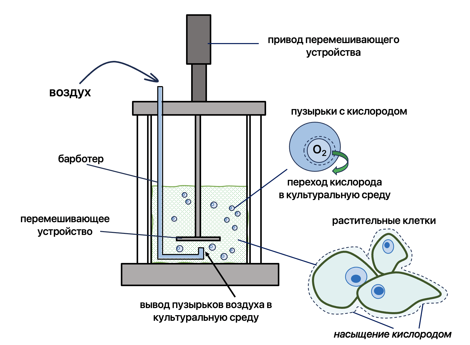 Схематичное изображение барботера в биореакторе