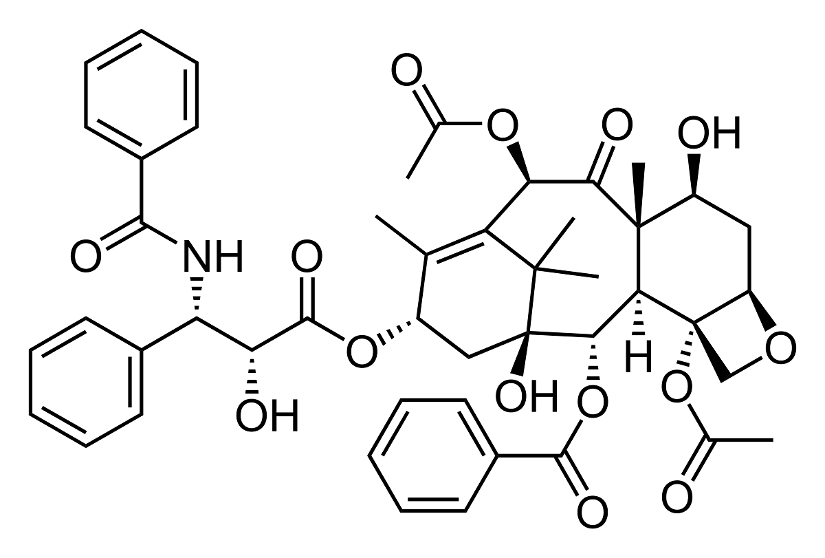 Молекула паклитаксела