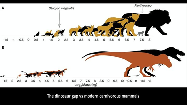 Разница в распределении хищников среди млекопитающих и динозавров