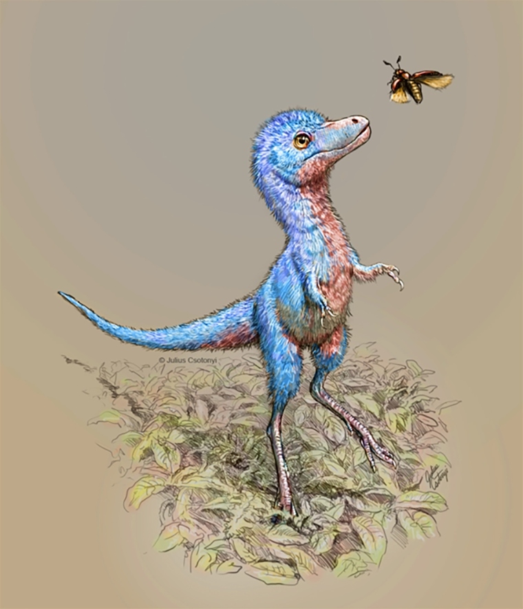 Новорожденный тираннозавр рекс