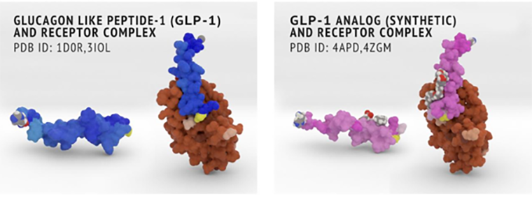 Связывание GLP-1R с лигандом