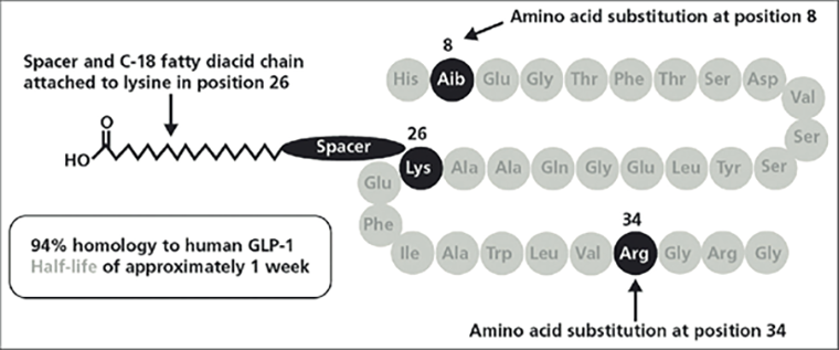 Структура агонистов GLP-1R на примере семаглутида