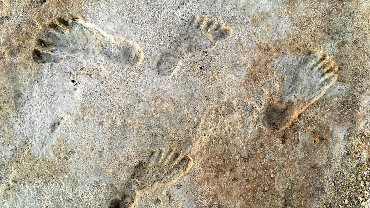 На фото: следы вдоль древнего озера в Нью-Мексико, возможно, оставили за 5000 лет до общепринятой даты появления людей в Америке