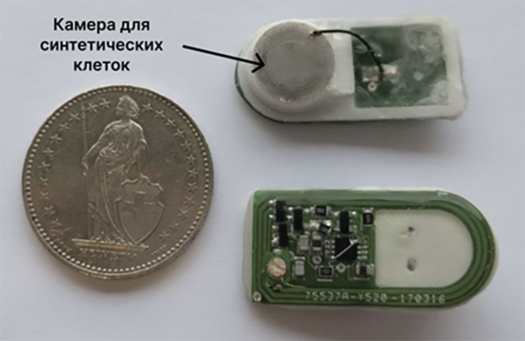 Размер беспроводного биоэлектронного импланта по сравнению с монетой диаметром 27,4 мм