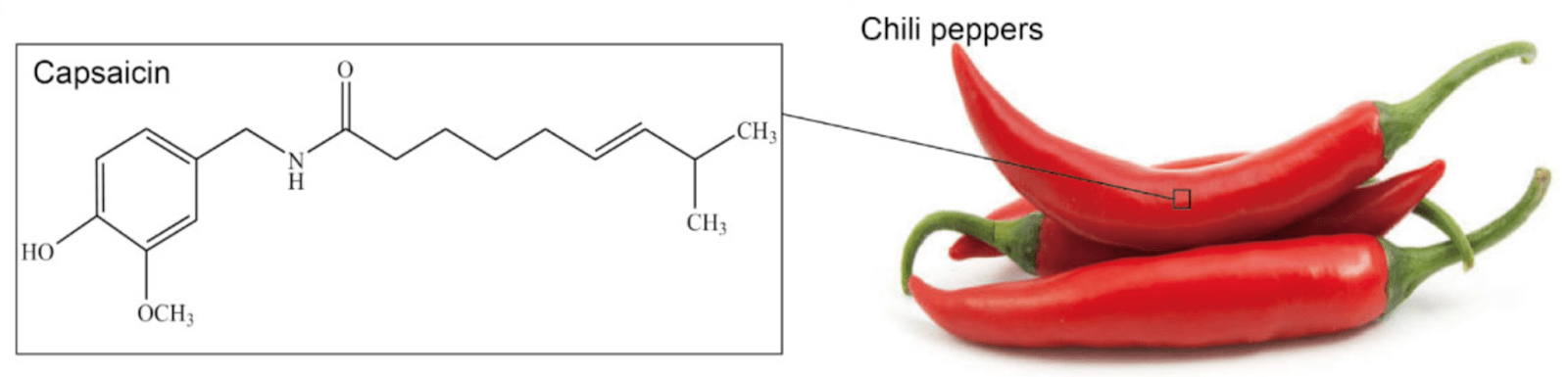 Химическая структура капсаицина, выделенного из перца чили