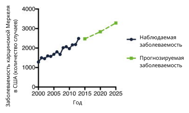 Наблюдаемая заболеваемость и прогнозируемая годовая заболеваемость карциномой Меркеля в 2000–2025 гг. в США