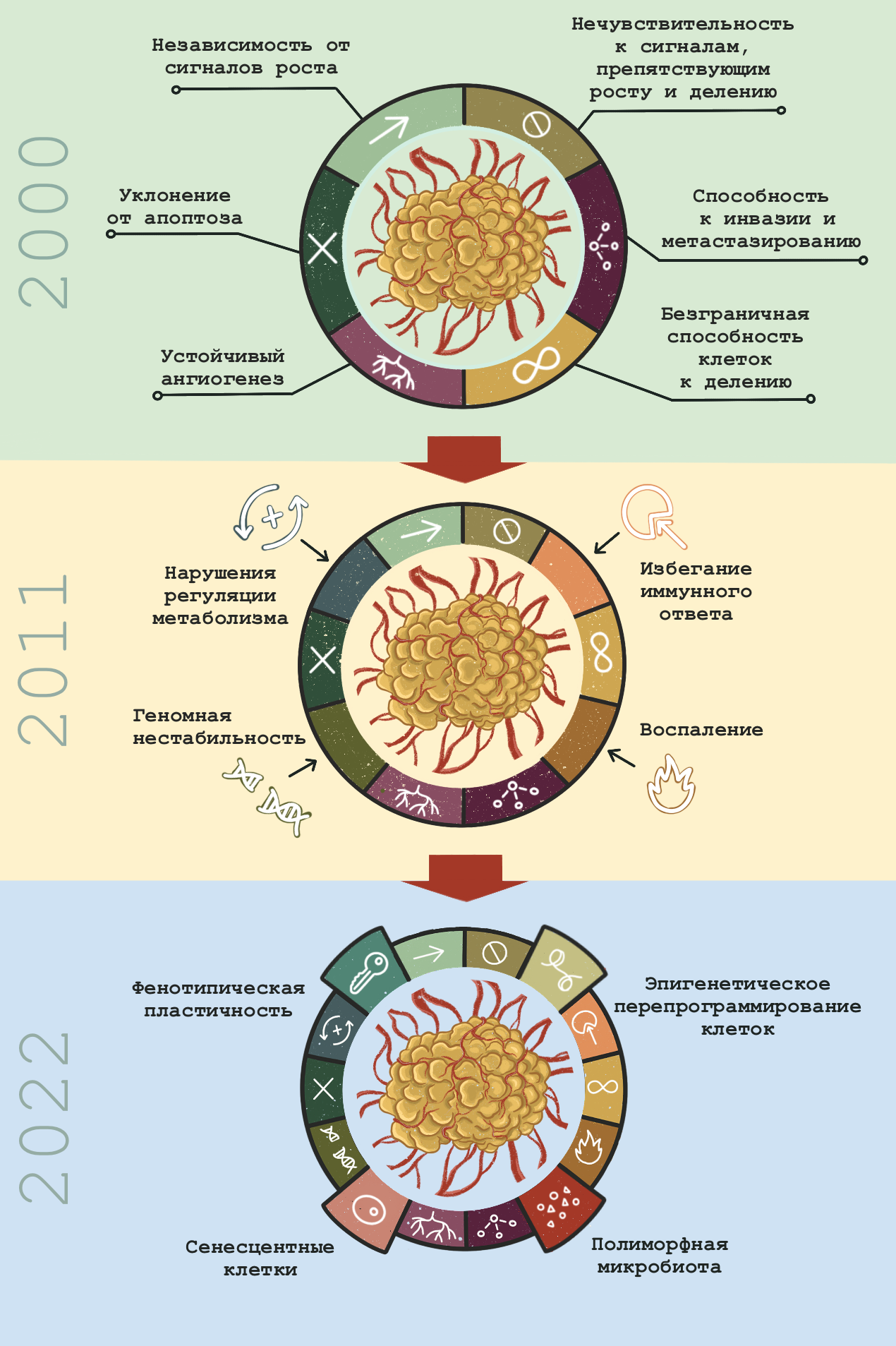 Эволюция концепции ключевых признаков рака от 2000 до 2022 года