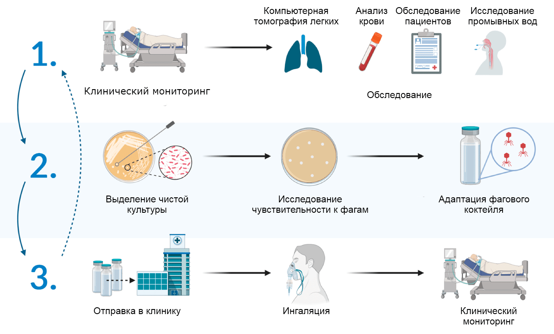 Протокол адаптивной фаготерапии