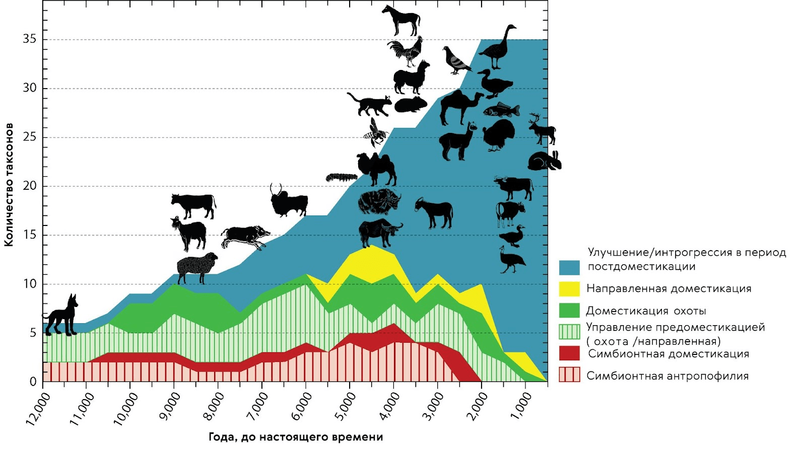 Хронология доместикации животных и рост их численности