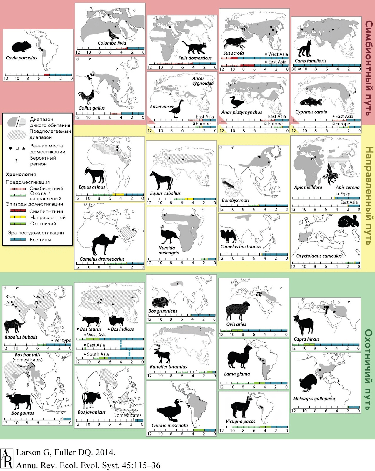 География и хронология древних доместикаций животных