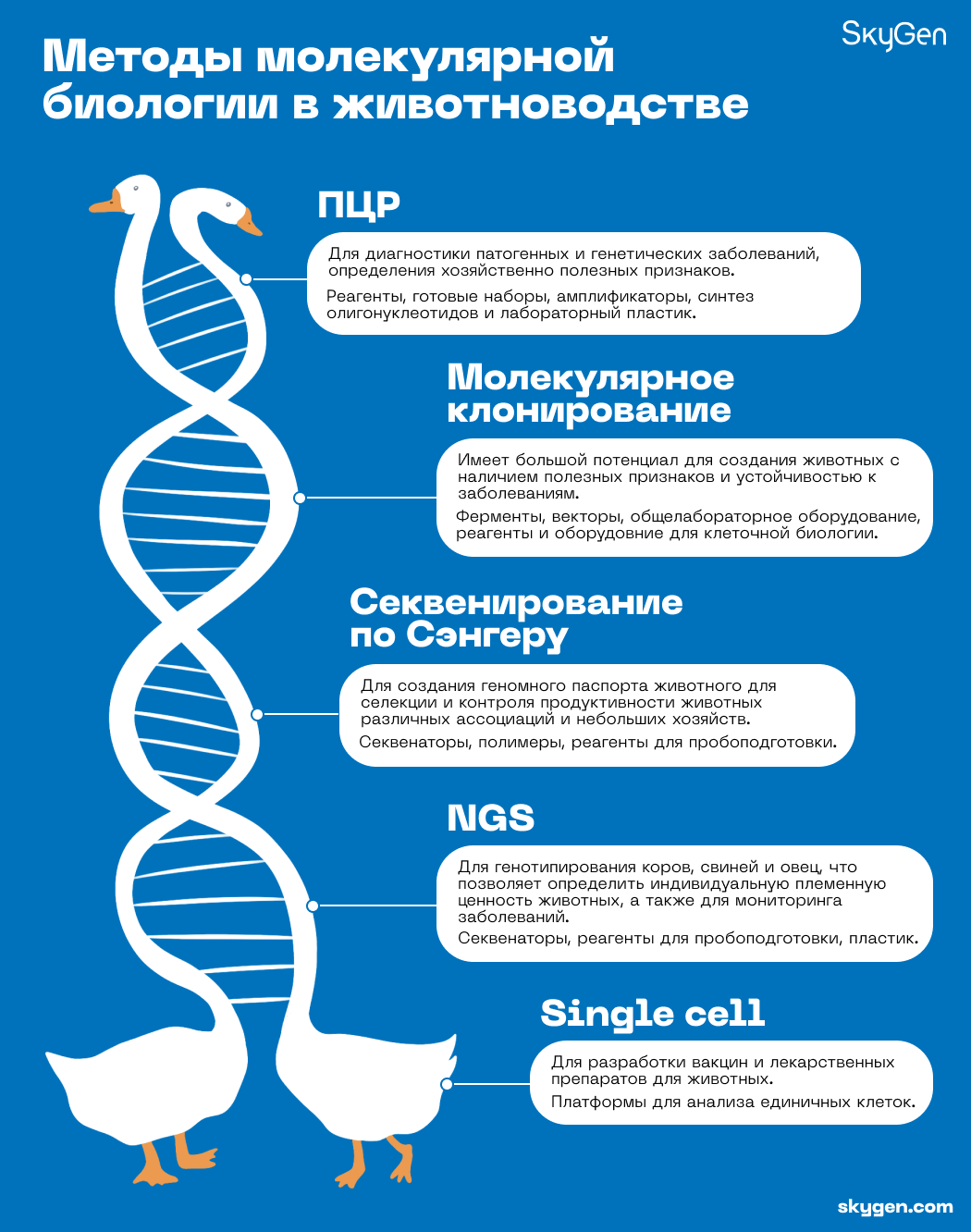 Методы молекулярной биологии в животноводстве