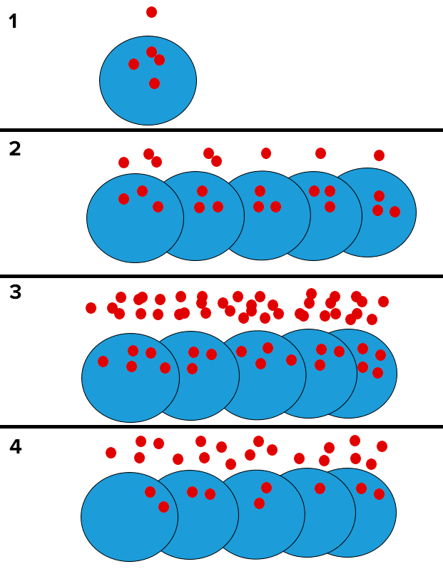 Схема работы бактериального чувства кворума