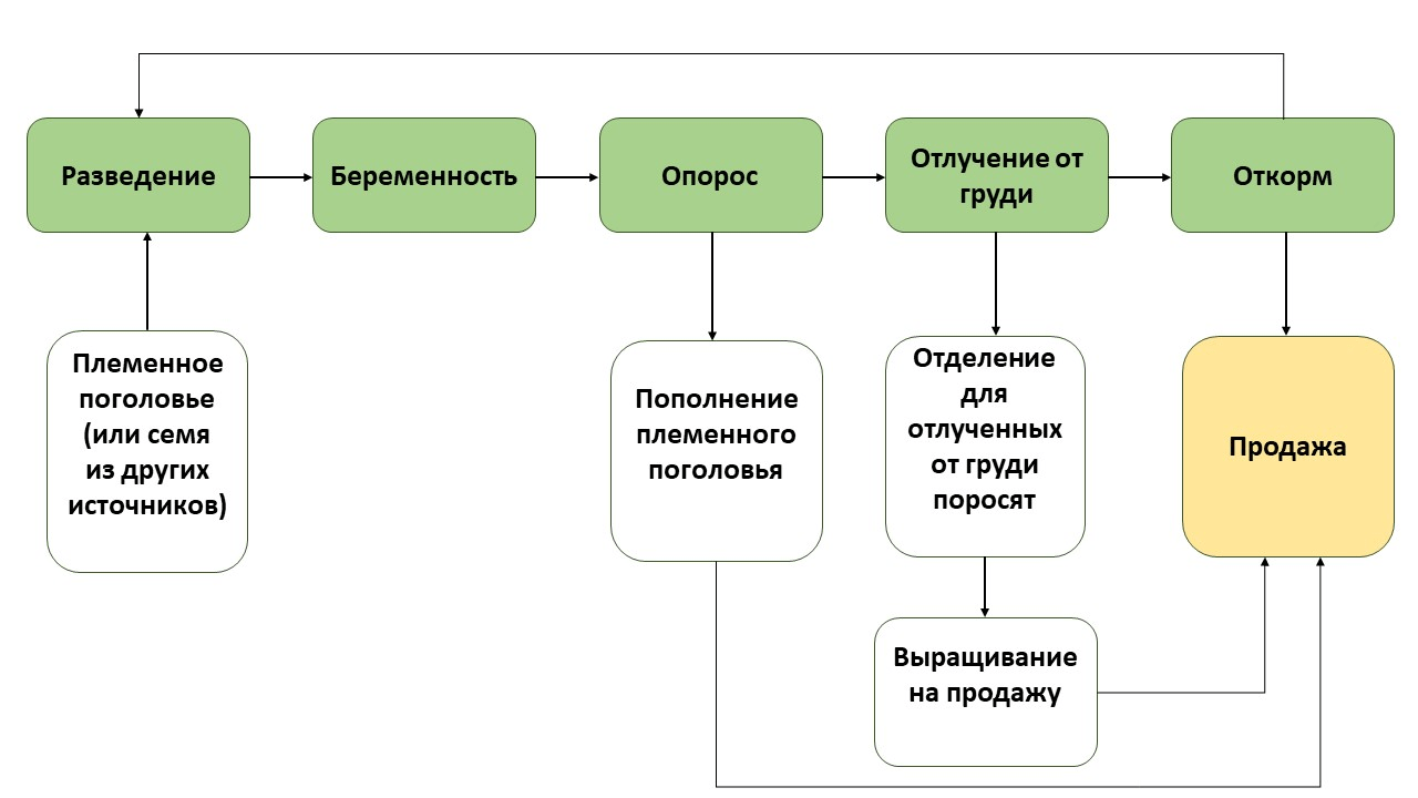 Цены «АгМа» в Казани — Яндекс Карты