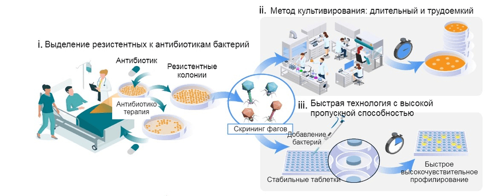 Рисунок 4. Схемы и подходы к персонализированной фаговой терапии.