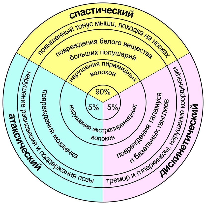 На рисунке изображены основные нейробиологические и неврологические проявления разных форм ЦП