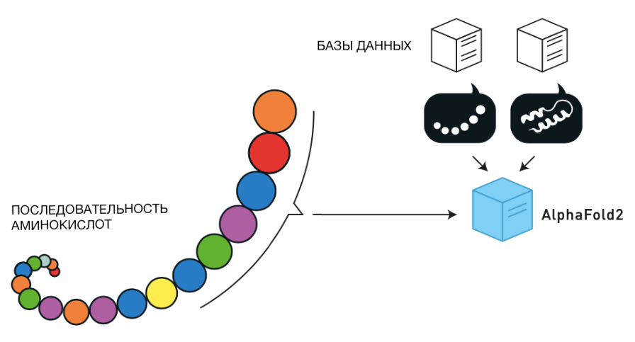 Первый этап работы AlphaFold 2: «глубокие» базы данных