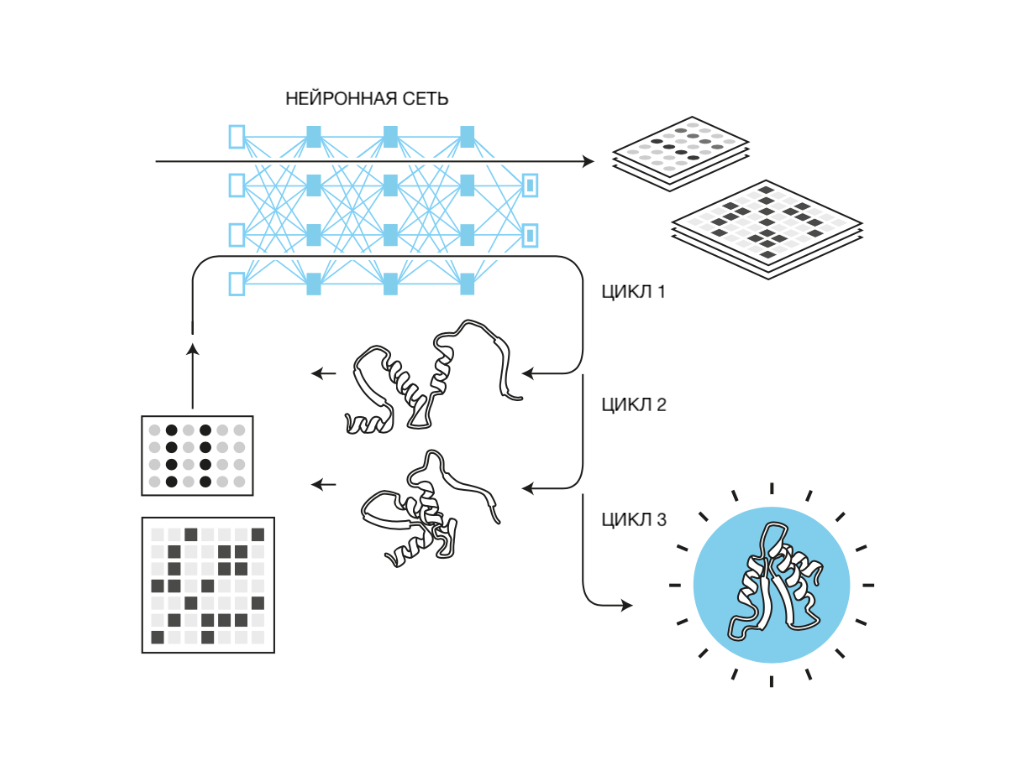 Третий и четвертый этапы работы AlphaFold 2: анализ на основе ИИ и подготовка модели структуры белка