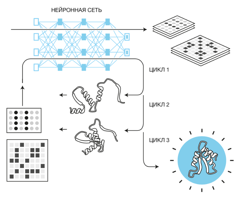 Третий и четвертый этапы работы AlphaFold 2: анализ на основе ИИ и подготовка модели структуры белка