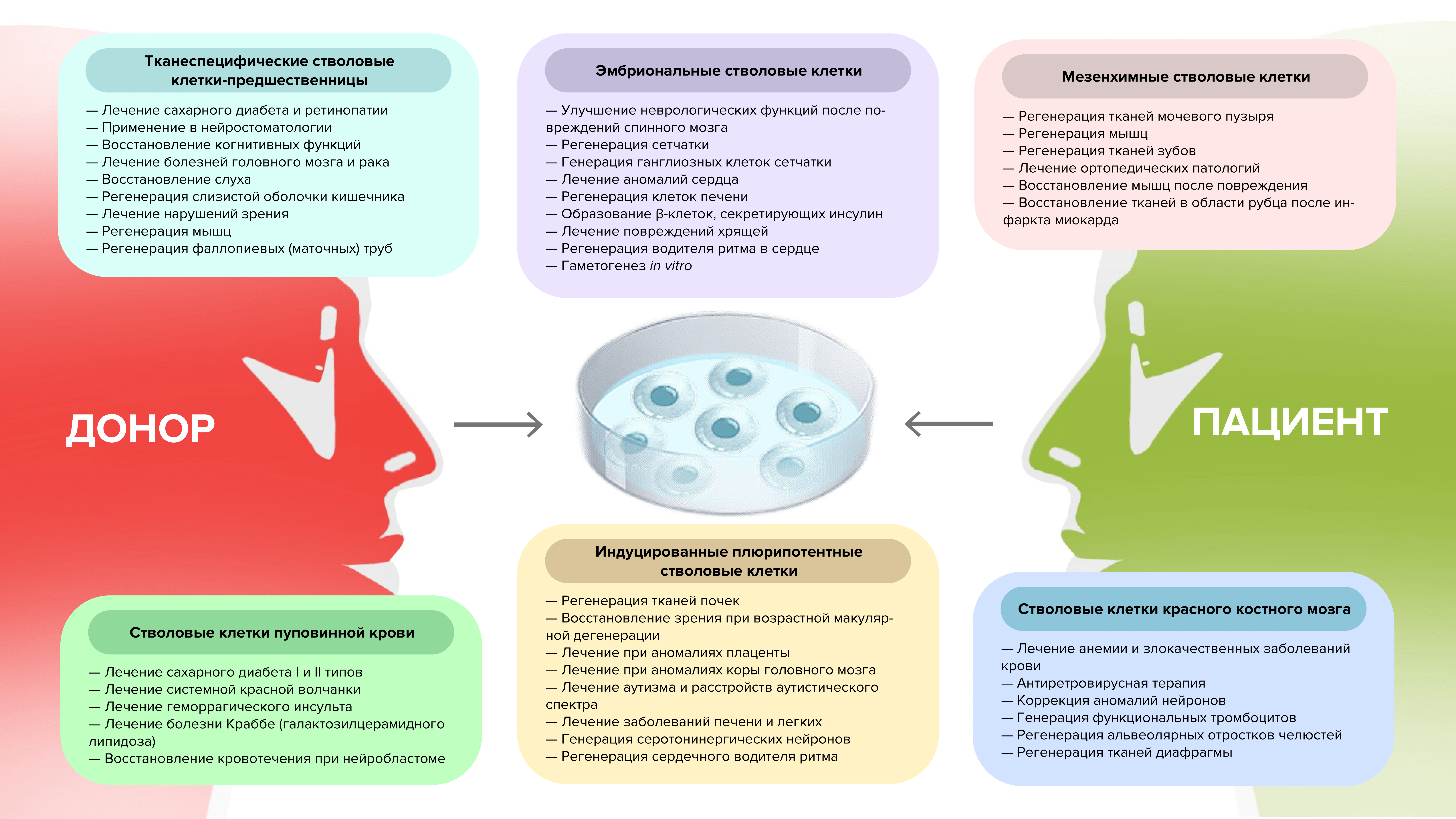Рисунок 15. Перспективы применения разных типов стволовых клеток в регенеративной медицине