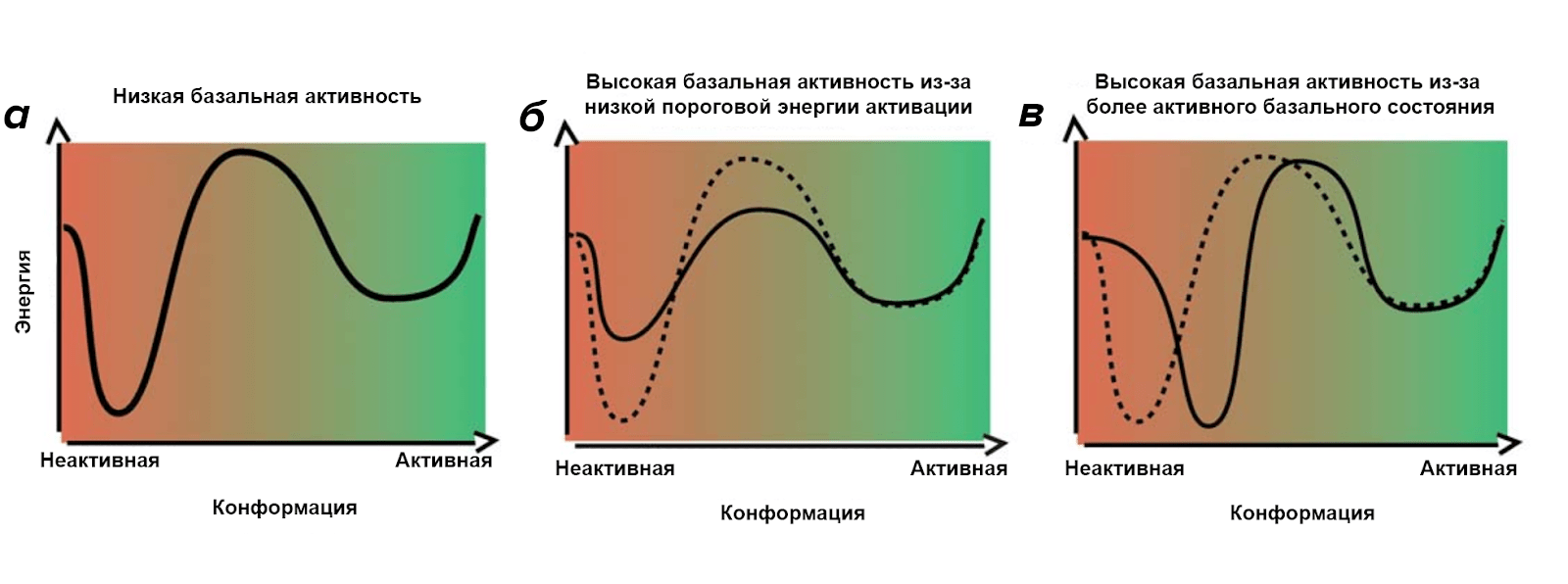 Энергетические ландшафты рецептора