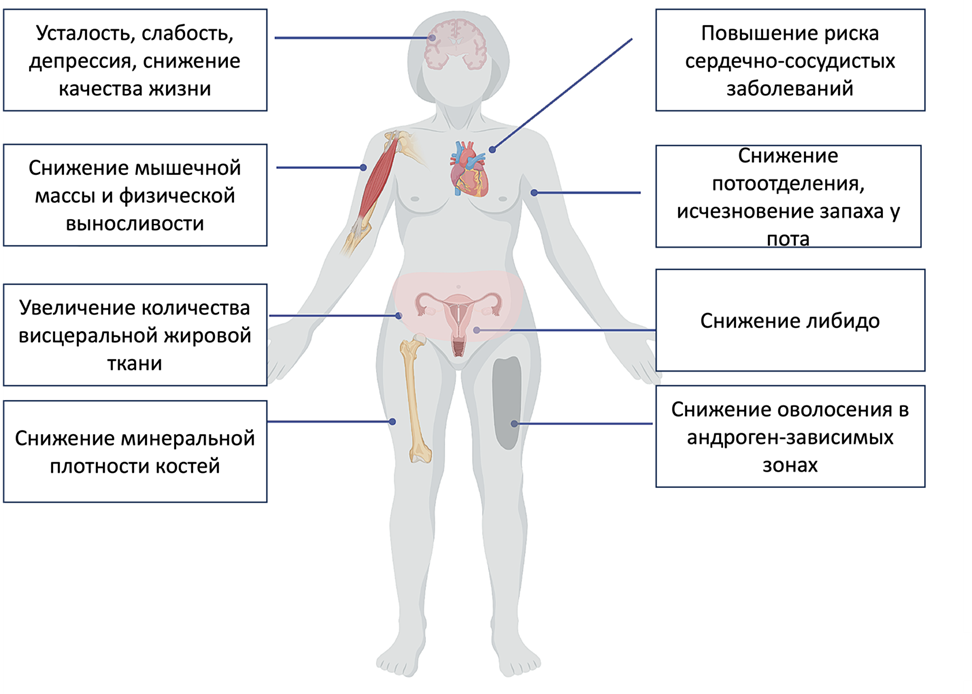 Симптомы дефицита андрогенов