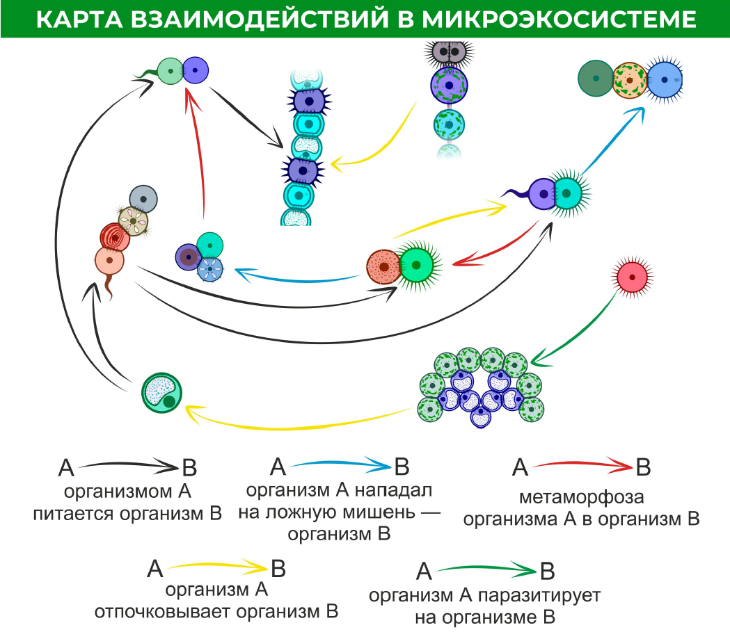 Паттерн «Машина Тьюринга»