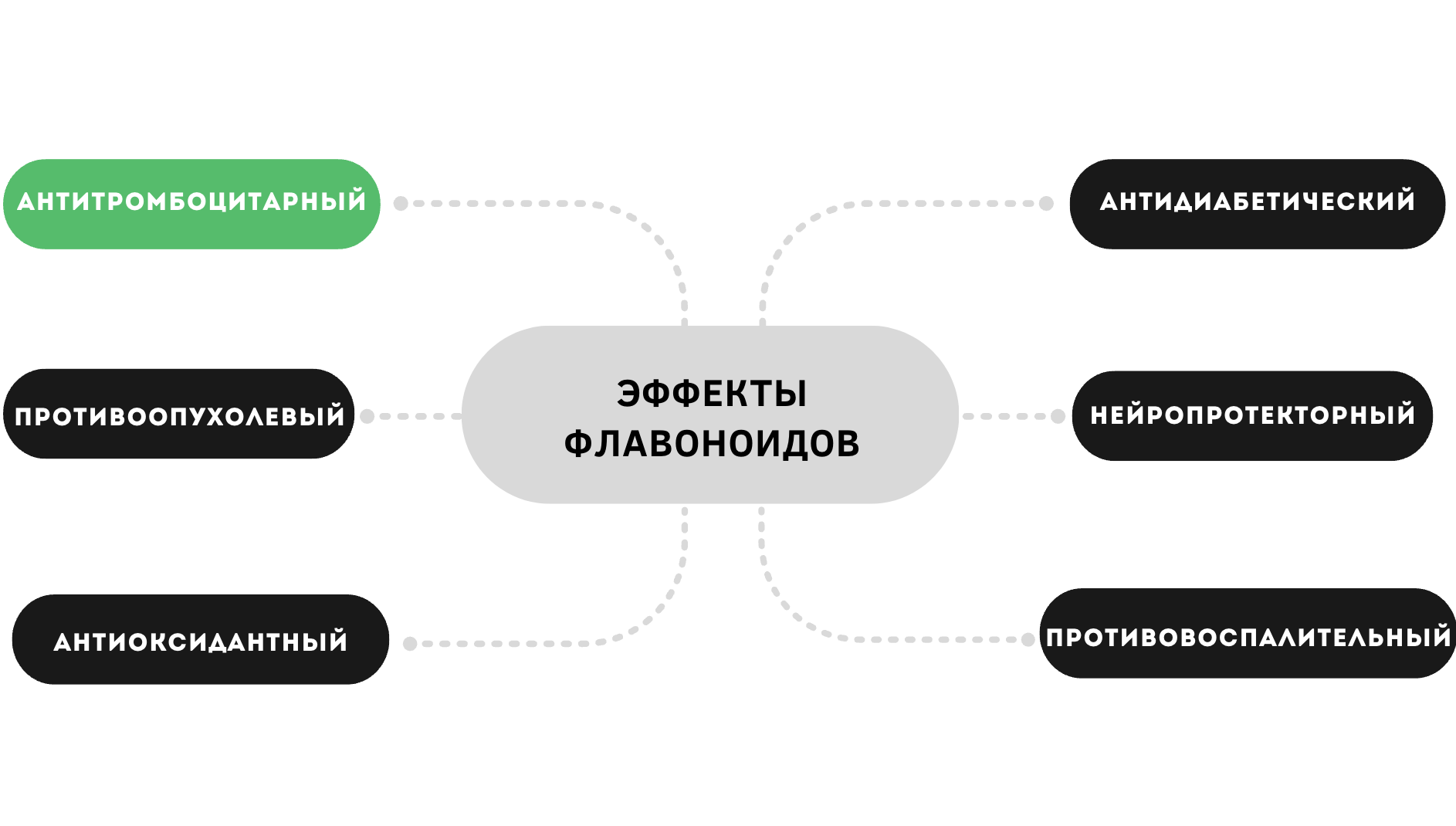 Биологические эффекты флавоноидов