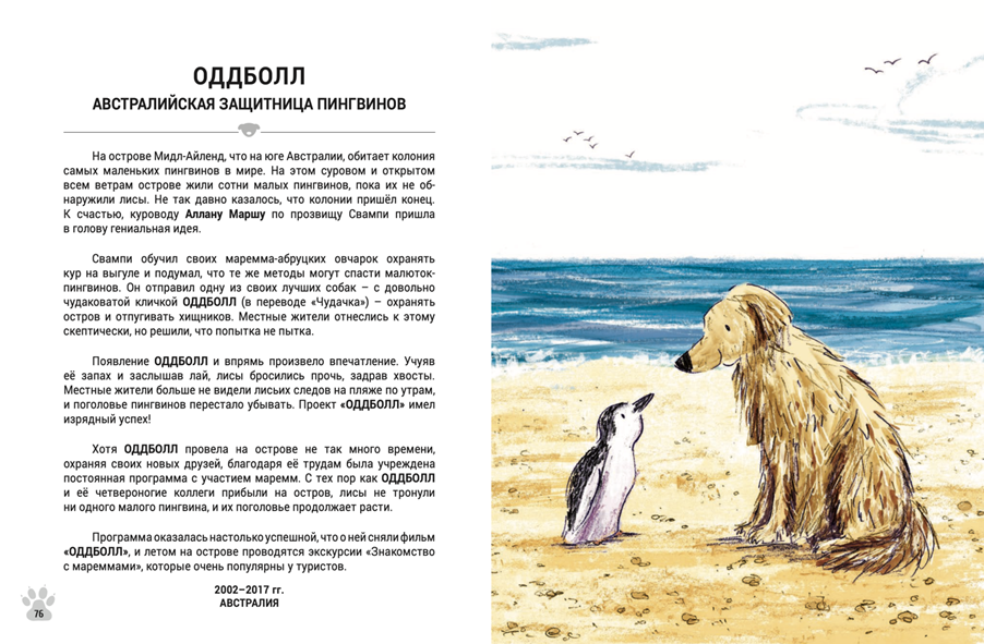 Иллюстрация из книги