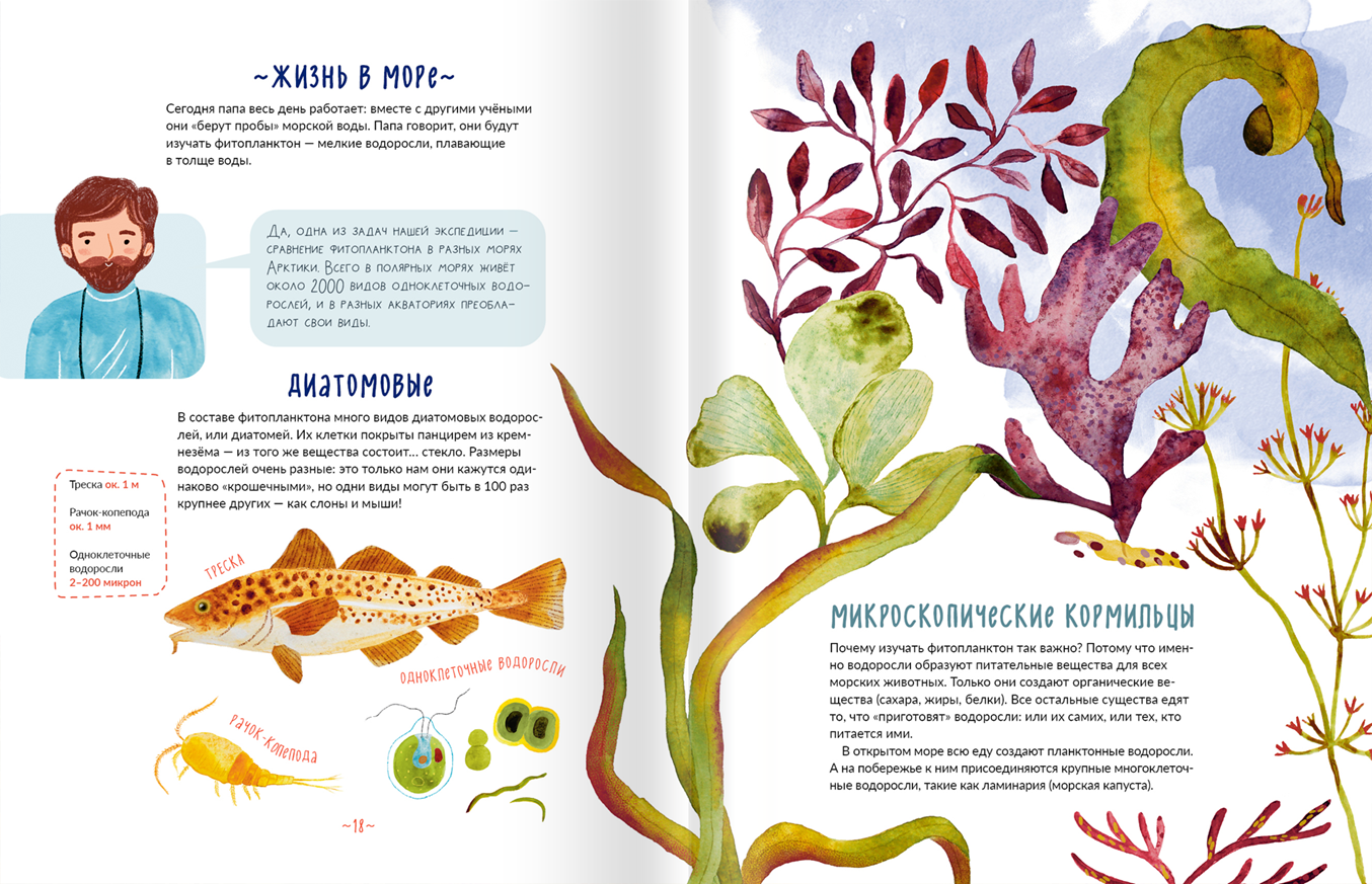 Иллюстрация из книги