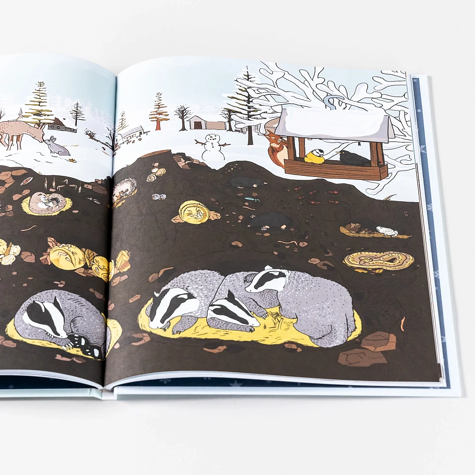 Иллюстрация из книги