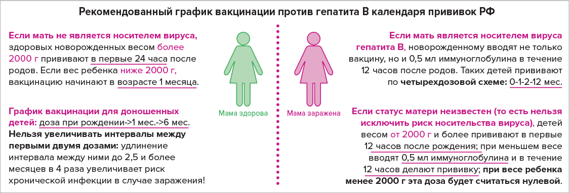 Рекомендованный график вакцинации против гепатита B календаря прививок РФ Рекомендованный график вакцинации против гепатита B календаря прививок РФ