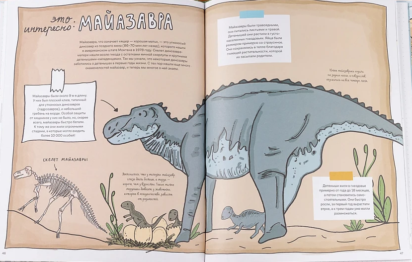 Иллюстрация из книги