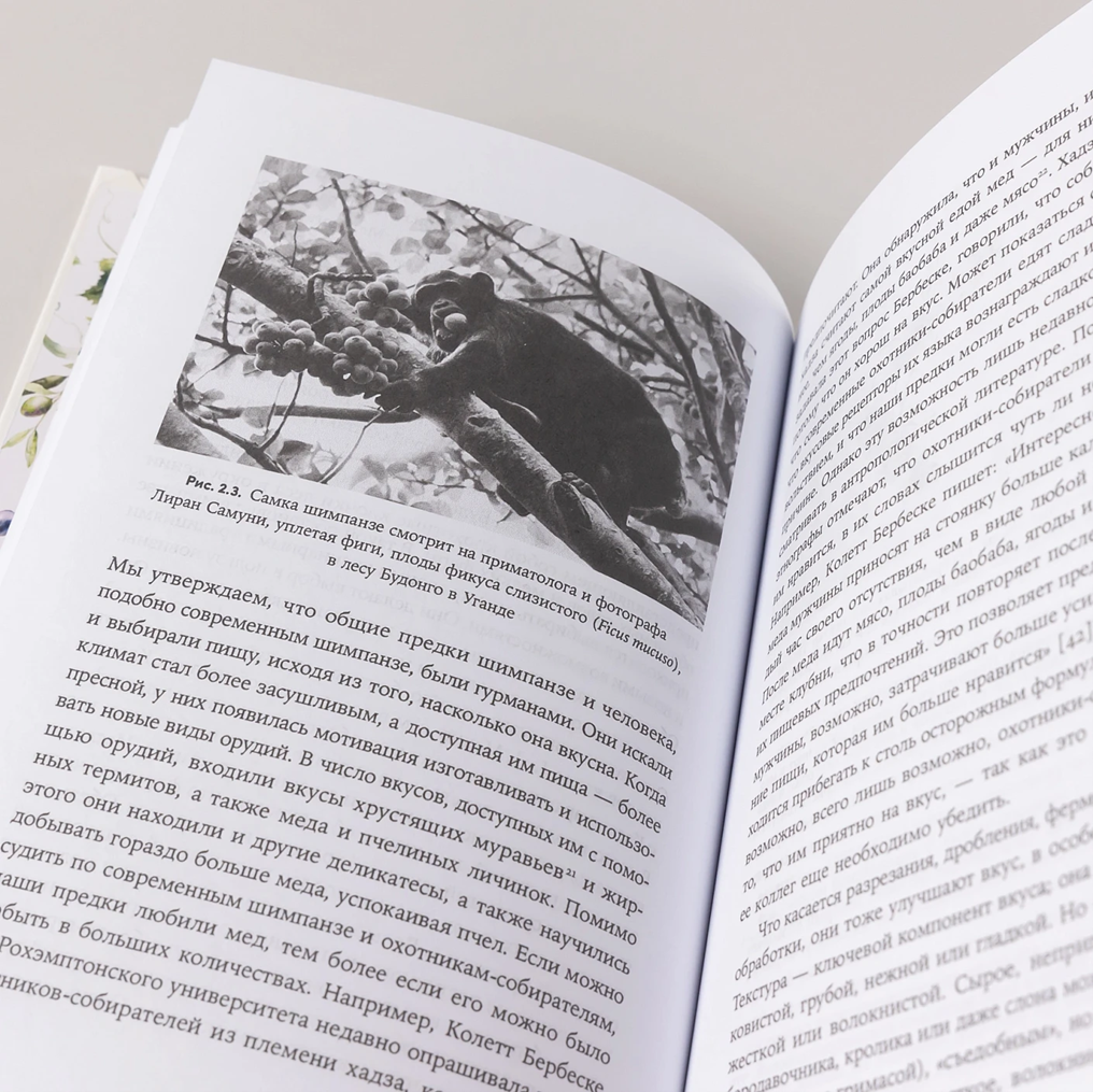 Развороты книги