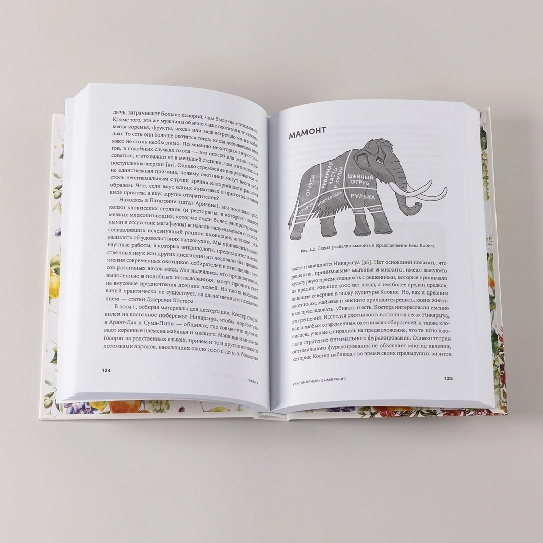 Развороты книги