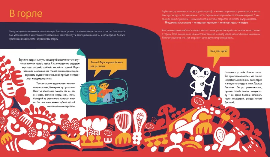 Иллюстрация из книги